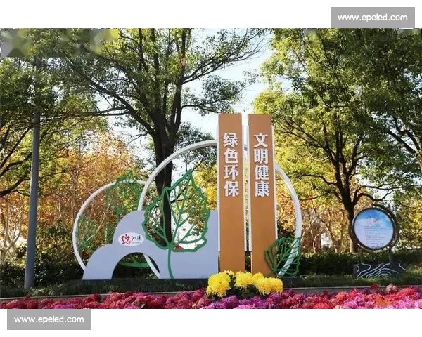 果蔬创意大赛精彩纷呈展现健康生活新风尚