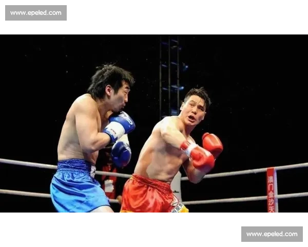 柳海龙散打王争霸赛精彩回顾 展现超凡实力与决胜瞬间